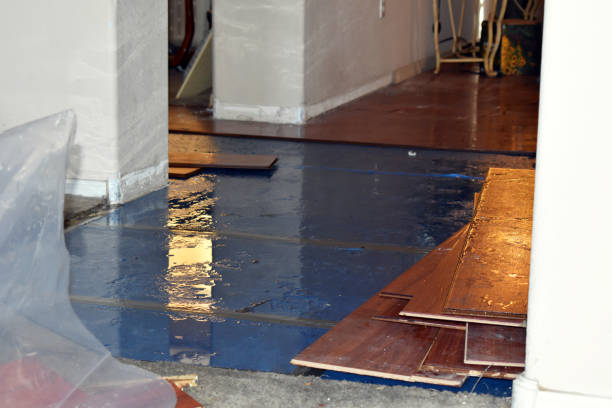 Professional Flood Cleanup technician working in Davenport, CA